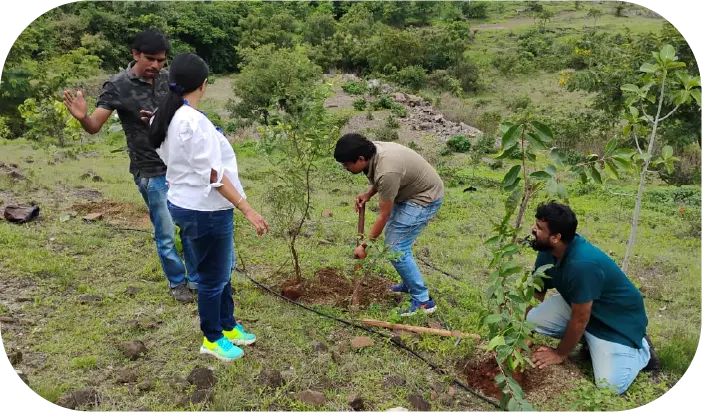 Group working together to plant trees on hillside area